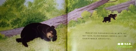 黑熊的旅行读后感400字作文