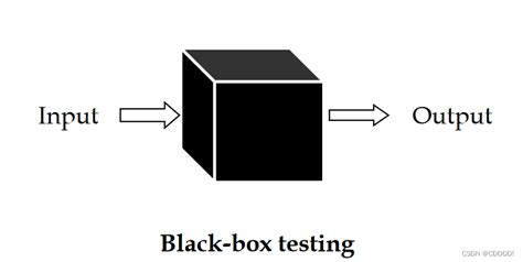 黑盒子软件