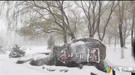齐齐哈尔暴雪东北