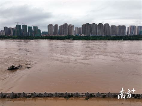 龙川洪水直播