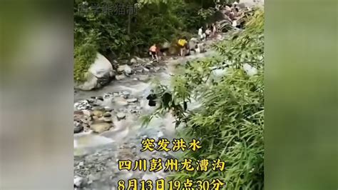 龙漕沟洪水视频