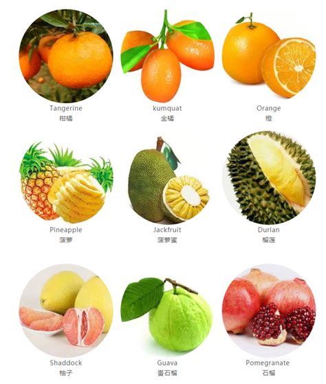 100种水果名字和图片