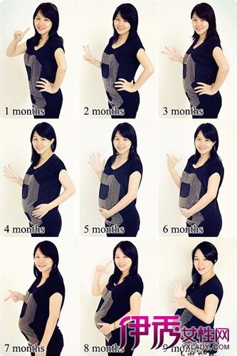12周孕妇标准的肚子图