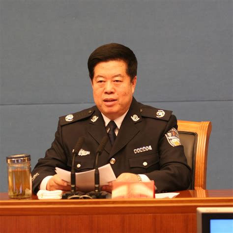 2017年公安部副部长