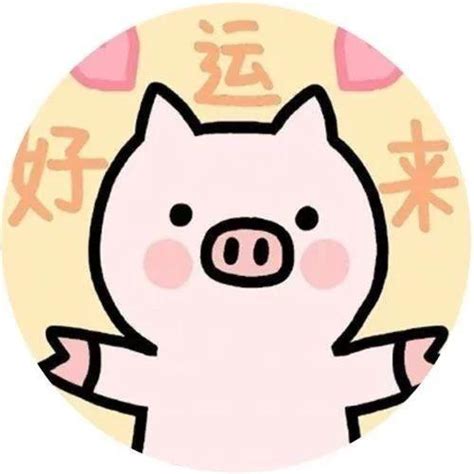 2019猪宝宝取名大全男姓