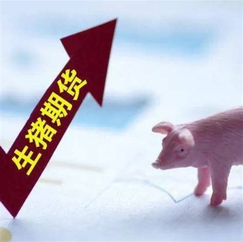 2021生猪期货对猪价的影响