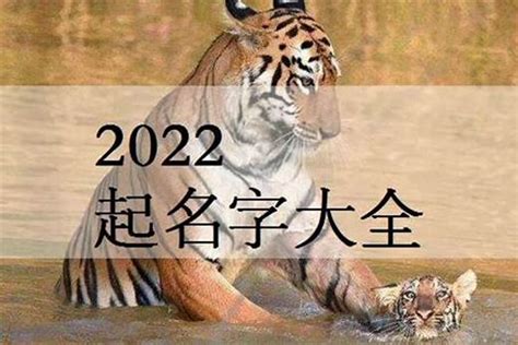 2022年属虎男孩名字两个字