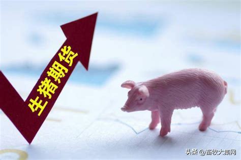2023生猪下周有大涨的消息吗