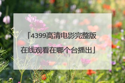 4399高清中文完整版在线播放