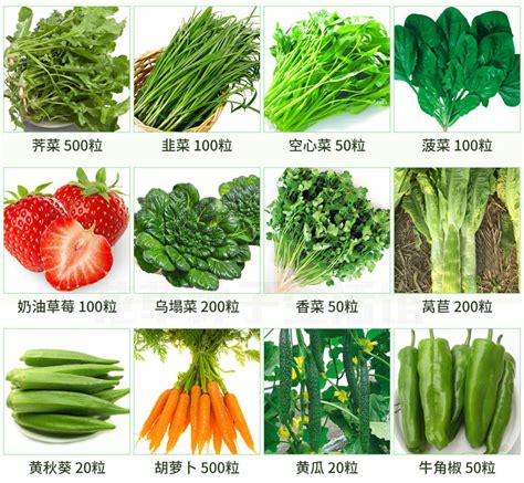 9-10月播种蔬菜名单