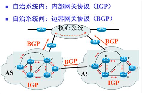 BGP实现网络对接
