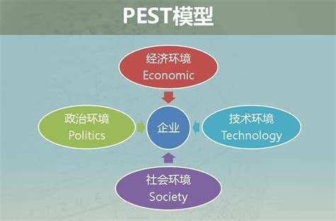 PEST分析政策方面的具体细节