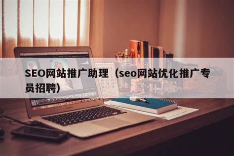 SEO优化网站推广专员招聘