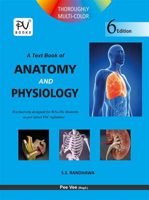 anatomy和physiology