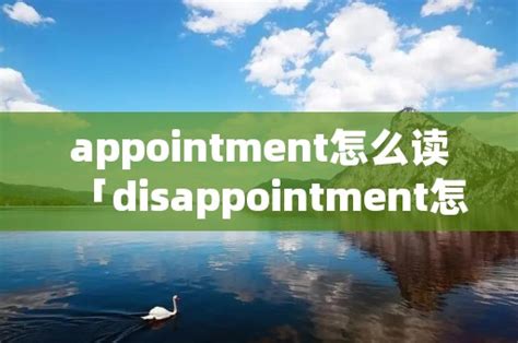 appoint怎么读