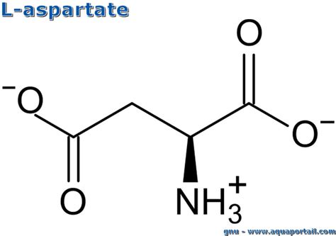 aspartate