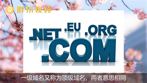 cn是中国一级域名怎么理解