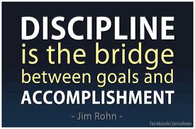discipline怎么讲解