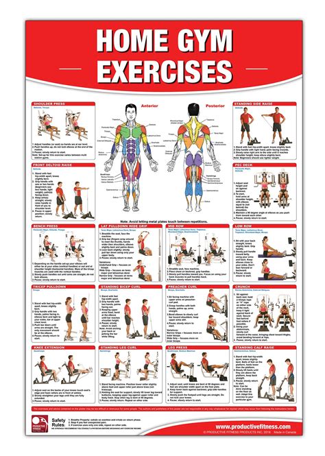 fitness exercises guide