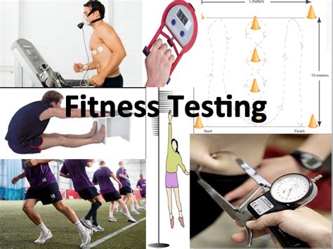 fitness test测试的中文介绍