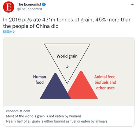 fyqum_称猪比中国人吃得多后+经济学人删推吗