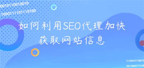 google的seo代理
