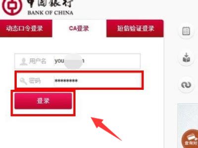 igtb版中国企业网银怎么转账