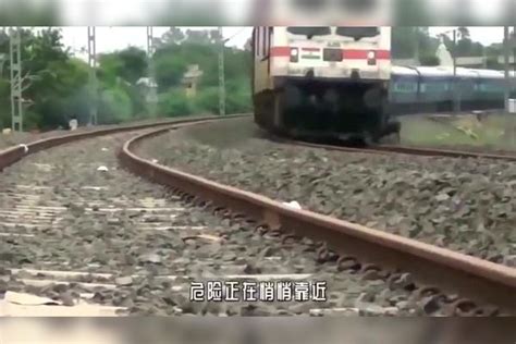 k7541列车与猎野猪相撞