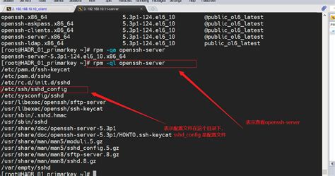 linux查询服务器代码