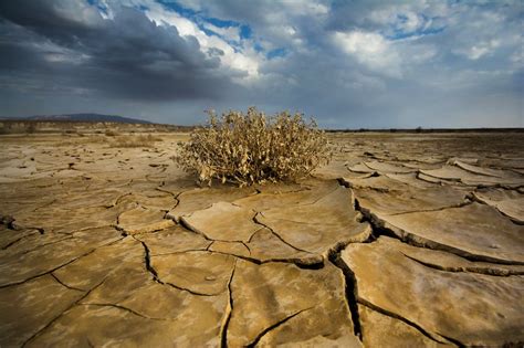 long-term drought