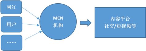 mcn机构企业ip打造流程