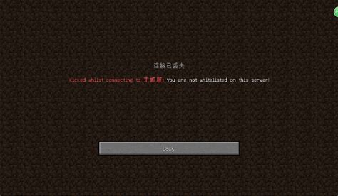 minecraft国际版无法连接服务器