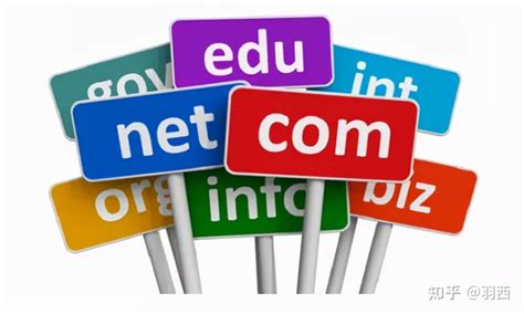 net域名和com域名到底选择哪个好