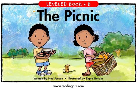 picnic英语作文