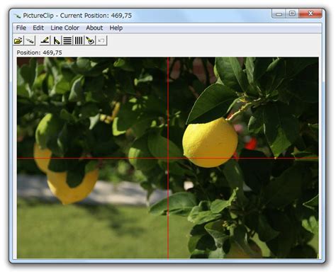 pictureclip软件