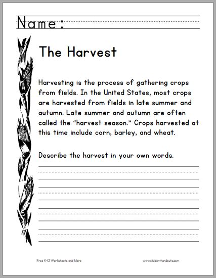 practice and harvest 作文