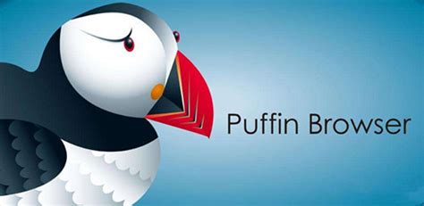 puffin浏览器更新不了