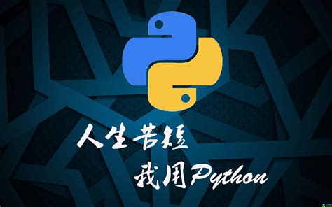 python编程详细步骤