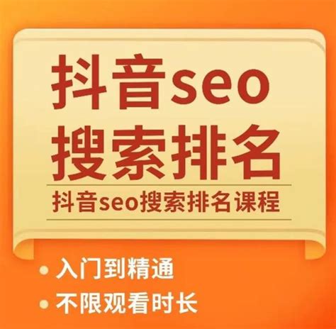 seo免费课程视频排名
