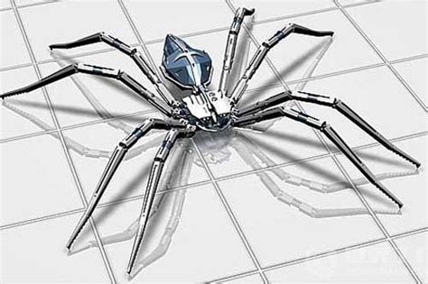 seo工具蜘蛛