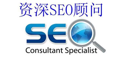 seo搜索优化软件seo顾问
