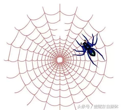 seo的蜘蛛陷阱