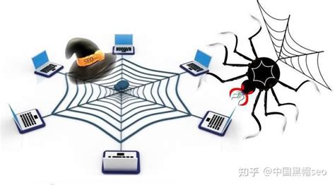 seo蜘蛛池管理平台