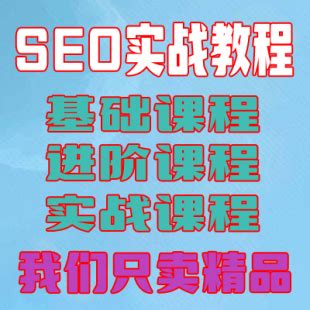 seo视频实战教程
