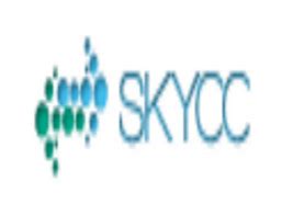 skycc专业seo软件