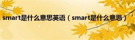 smart是什么意思 中文