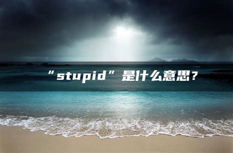 stupid 是什么意思中文