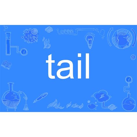 tail英文