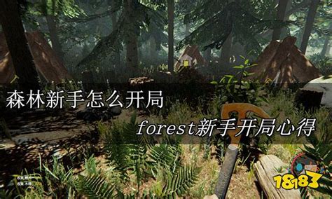 the forest新手攻略