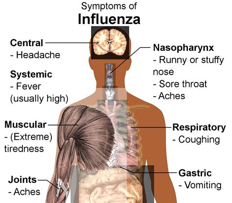 the symptom of flu